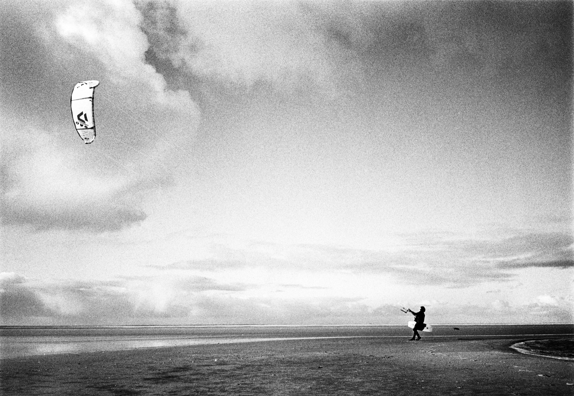 Kite