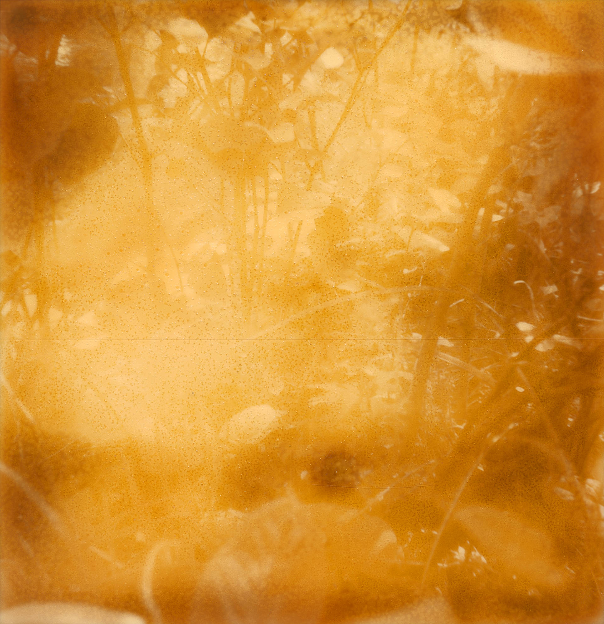 Polaroid 11
