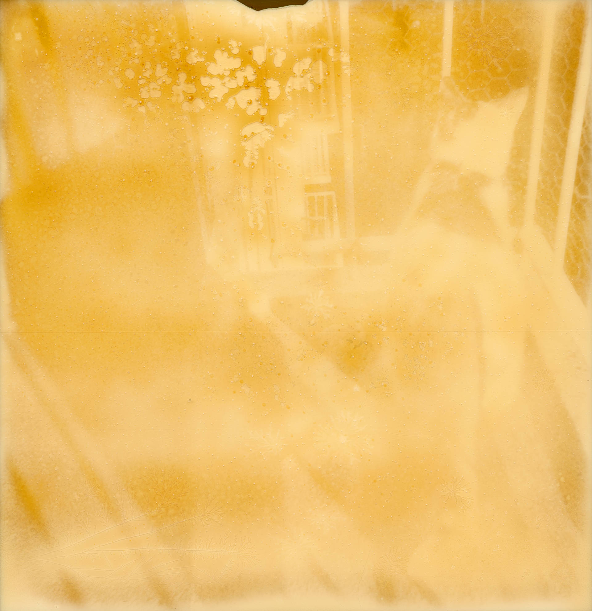 Polaroid 3