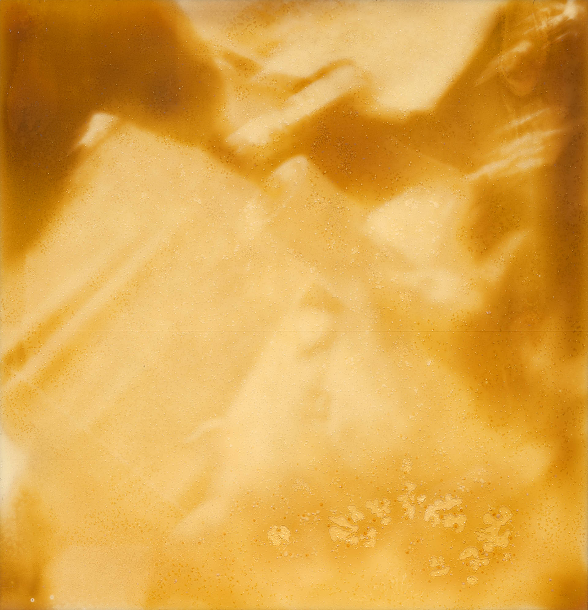 Polaroid 4