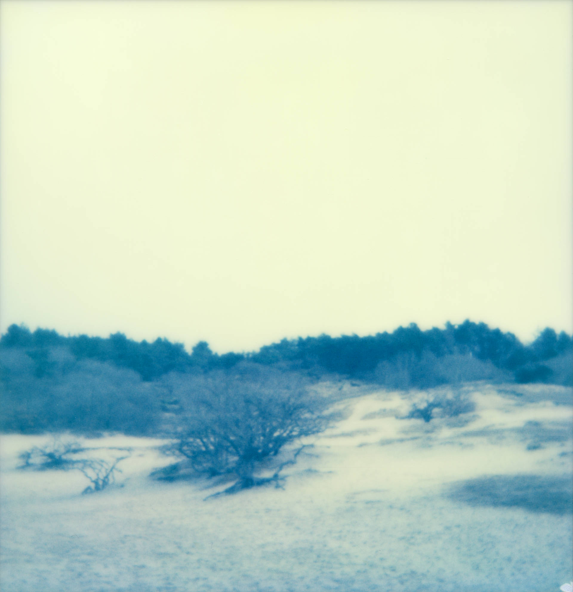 Polaroid 5