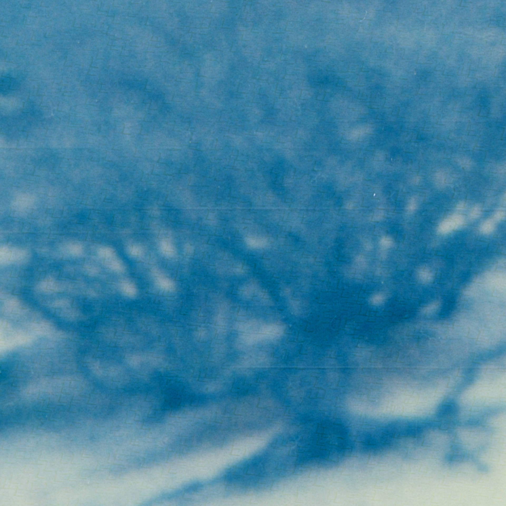 Polaroid 5 (detail)