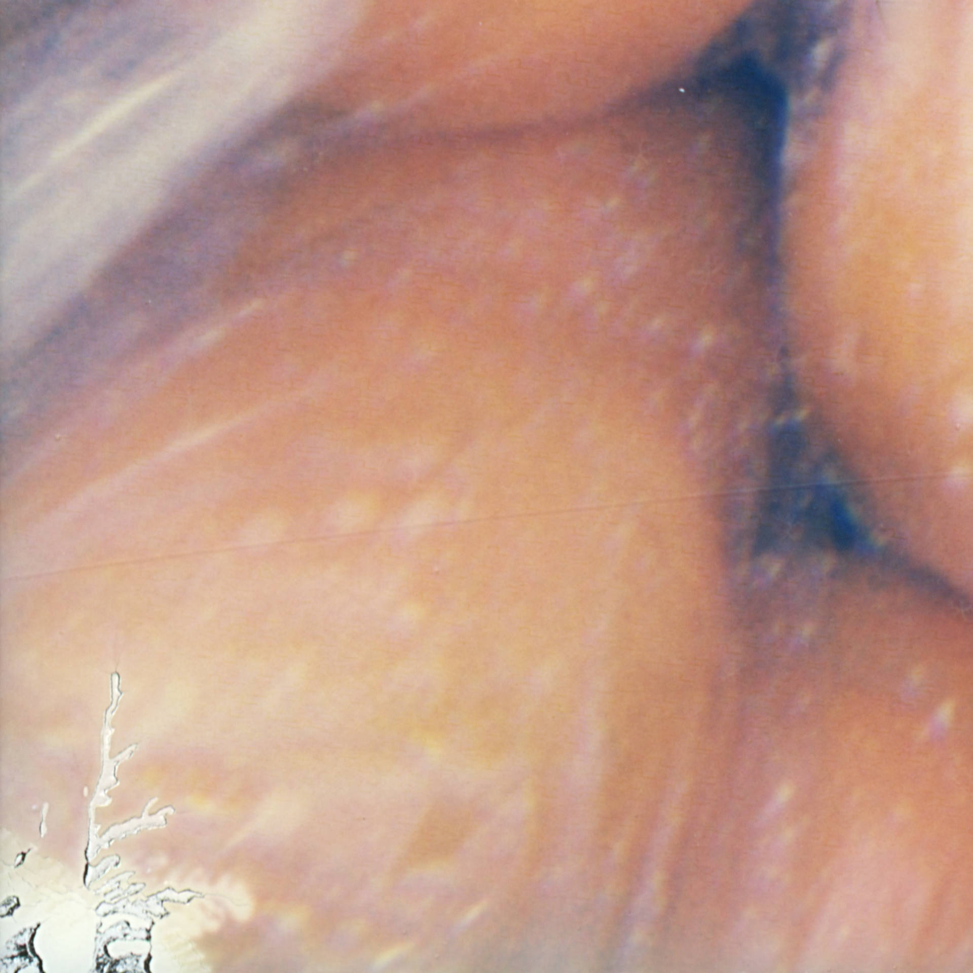 Polaroid 7 (detail)