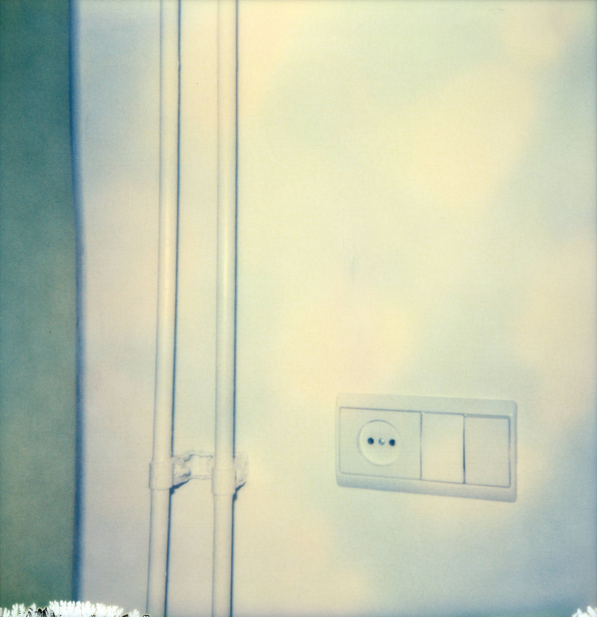 Polaroid 9