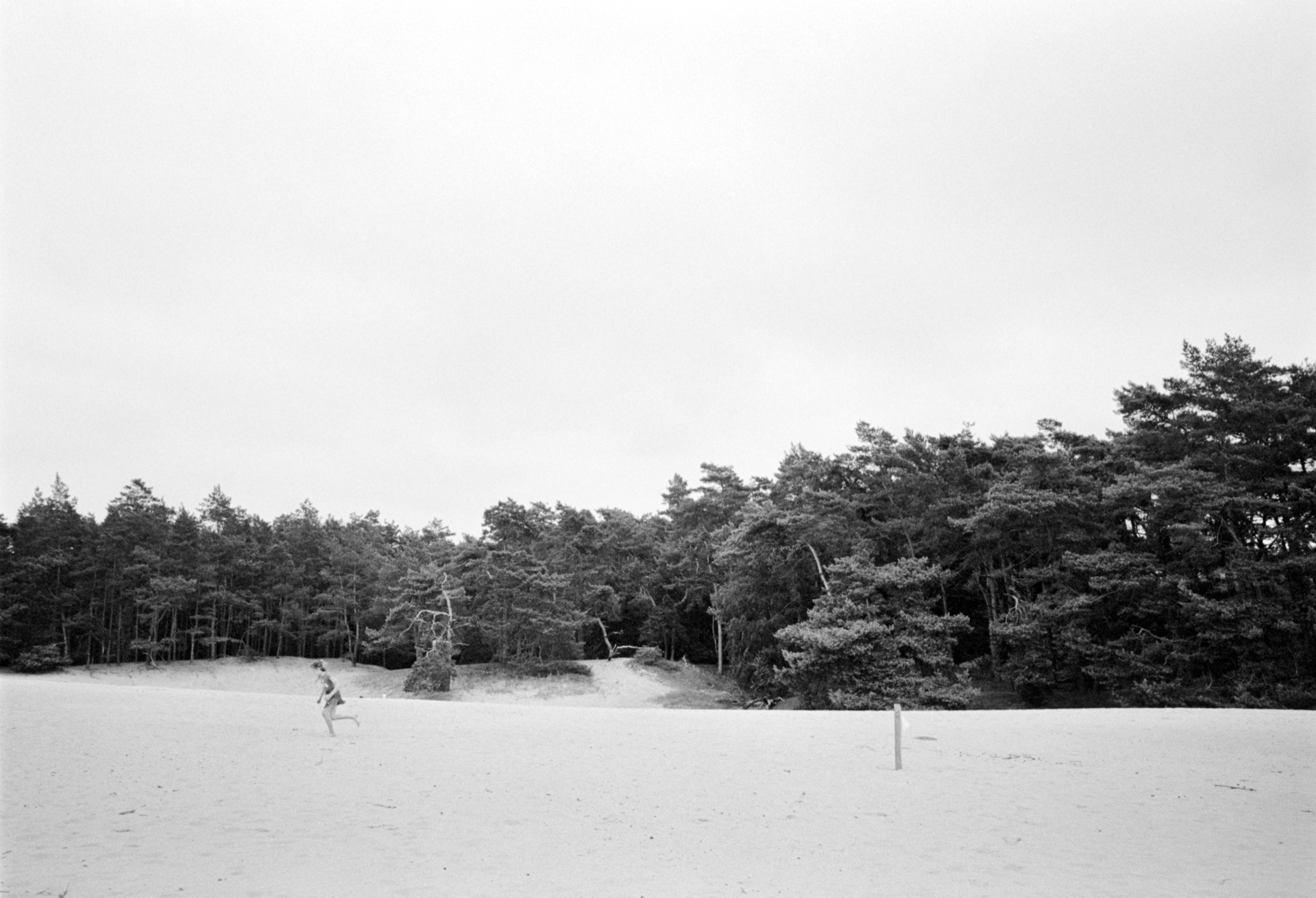 Veluwe